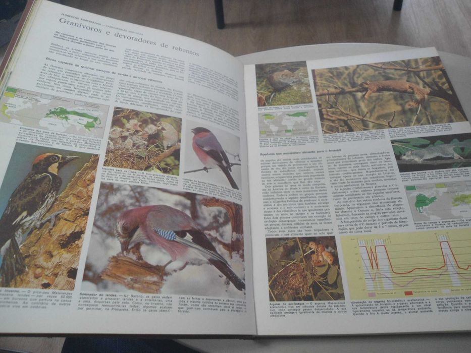 Animais da Terra das SRD