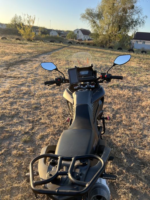 Мустанг челендж musstang chalenge gt