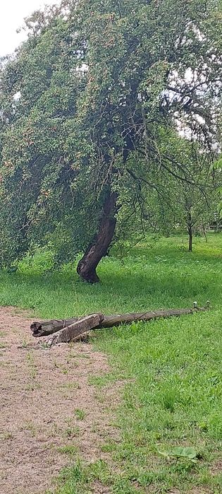 продаж будинку в сільській місцевості