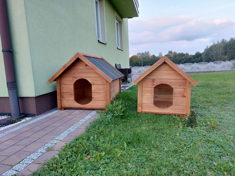 Solidna Buda dla Psa