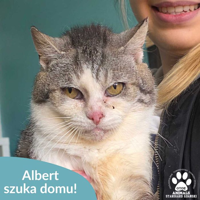 Sadek szuka spokojnego domu!