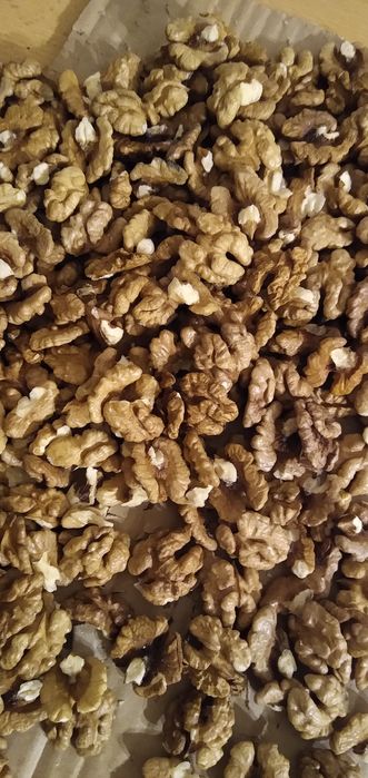 Orzechy włoskie już bez łupinek