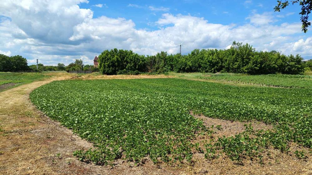 Продається будинок в центрі с. Велика Круча