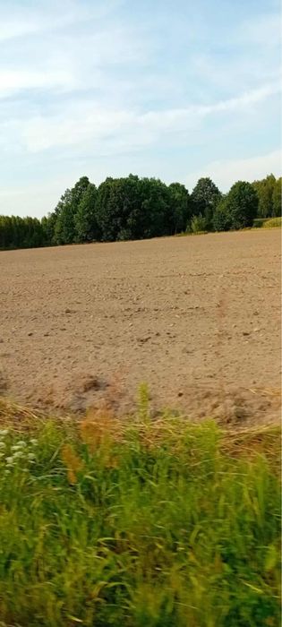 Sprzedam ziemie 9200m2