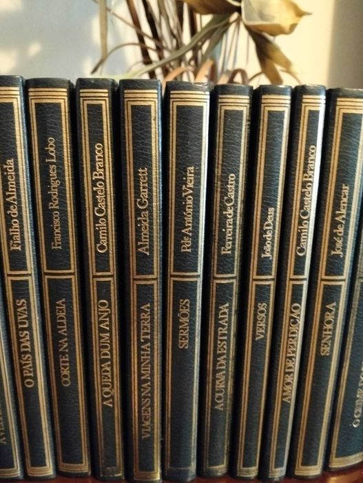 Livros dos melhores autores portugueses