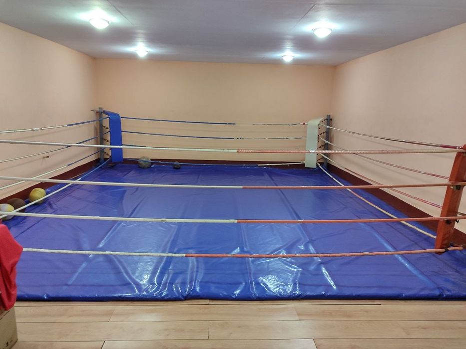 Продаж квартири в дуплексі - 449кв.м. в центрі міста