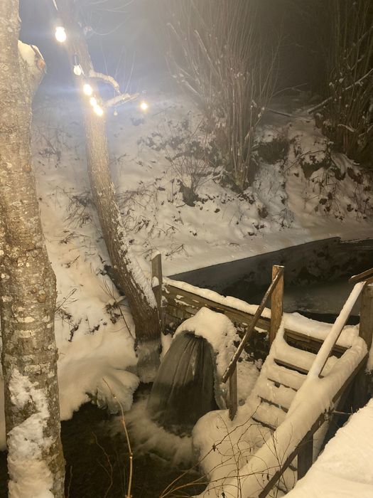 Будинки в Карпатах, чан, сауна/ Славське/ Нижня Рожанка