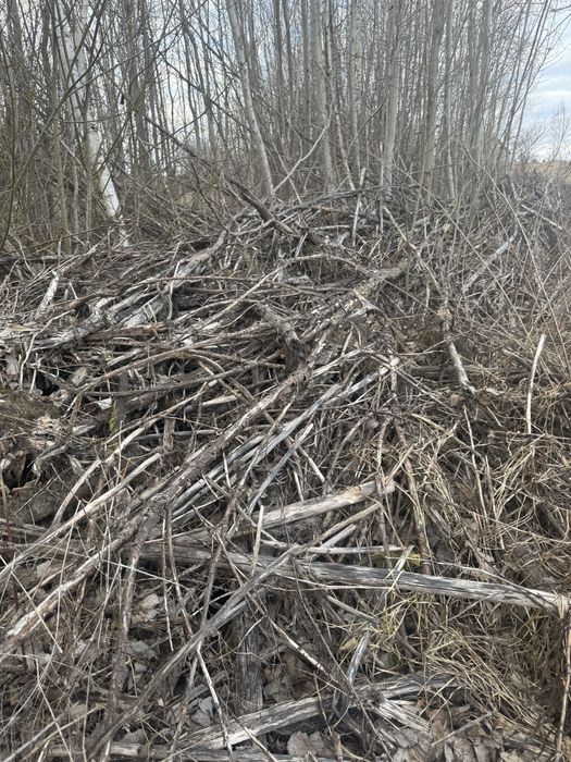 Do oddania drewno na opał