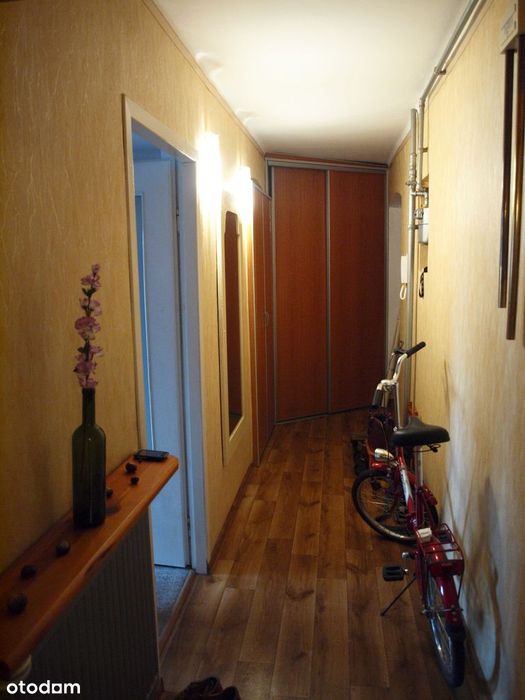 56 m² | 1. piętro | Możliwość 3 pokoi | Aleja Marka - Widok 4