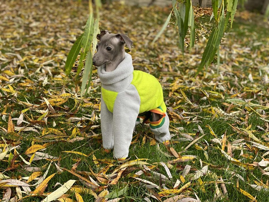 Charcik włoski chłopak