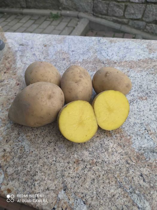 Sprzedam ziemniaki