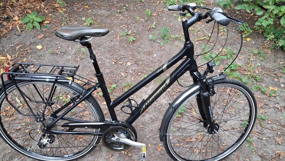 Damka Diamant Ubari.