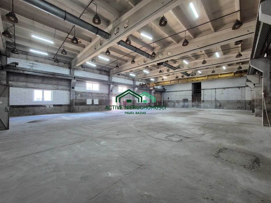 Hala produkcyjna, magazyn, suwnica, 580m2, Rybitwy