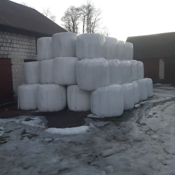Sprzedam bele sianokiszonki