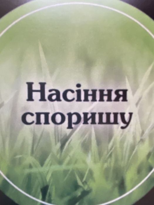 Продам насіння споришу.