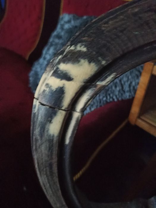 Krzesło stare, sprężyny Ludwik, rzeźbione