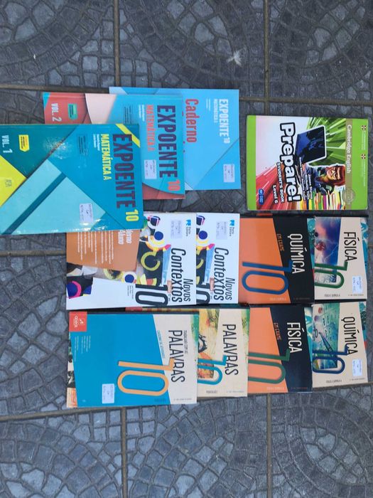 Manuais Livros Escolares 10º ano Secundário