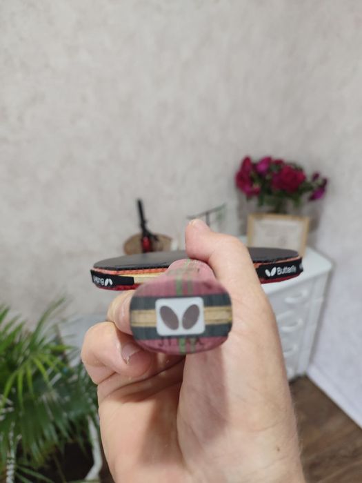 Ракетка-основа Butterfly Apolonia zlc