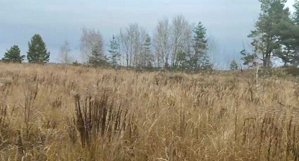 Земельний масив під базу відпочинку за дуже цікавою ціною!