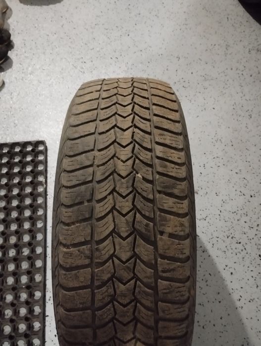 Opony zimowe 15'' Dębica Frigo