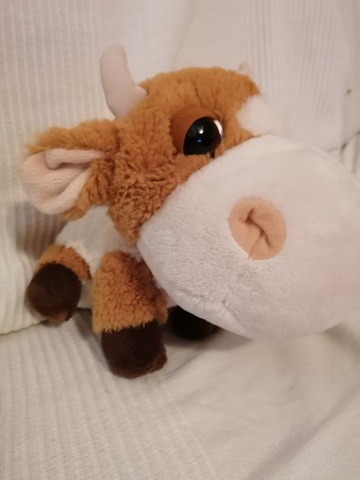 Peluches variados442067770651463683