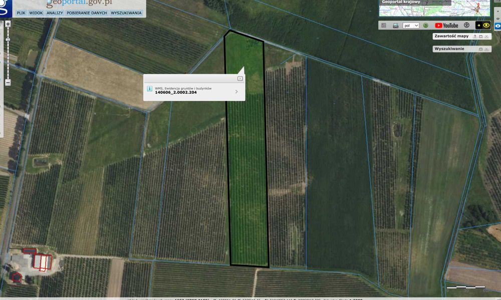 sad 2,26 ha , Boglewice, powiat grójecki, przetarg