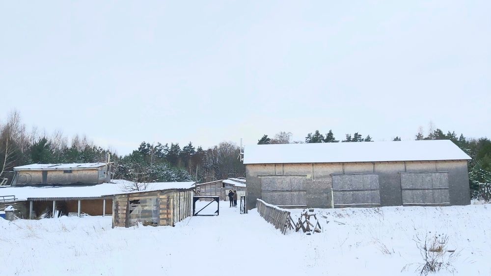 Продам  свиноферму у ліса +10 Га землі,  20 км від Чернігова.