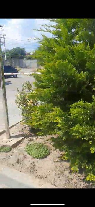 Отличный вариант для  бизнеса   ЖК "Клаб Марине"/ул.Долгая 1