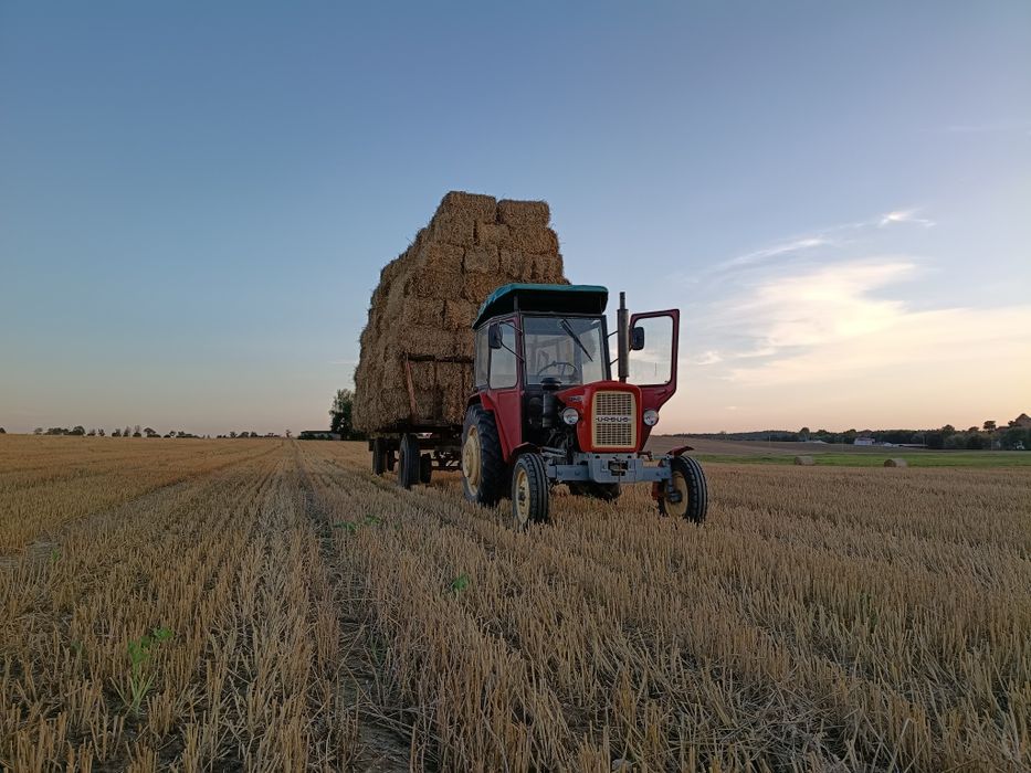 Słoma w małych kostkach