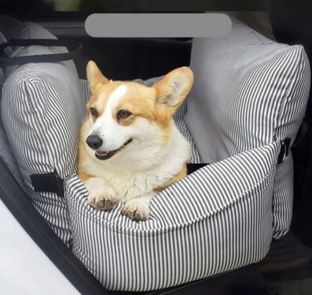 Nowy fotelik samochodowy do psa.
