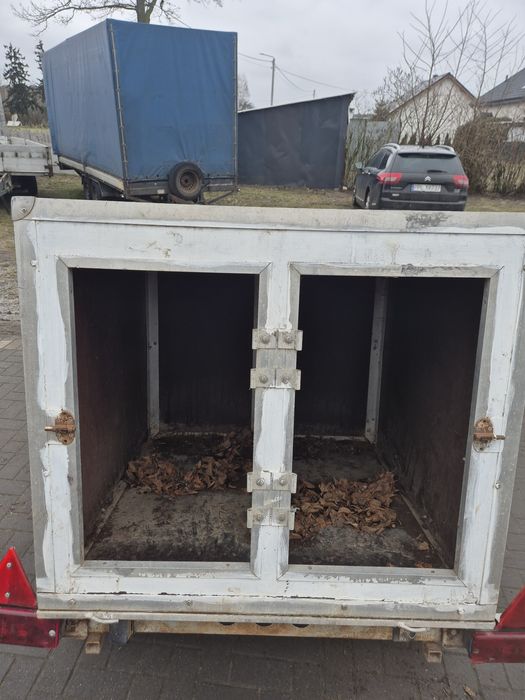 Przyczepka samochodowa do przewozu 2 psów