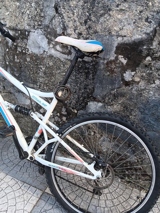 Bicicleta da maraca TEAM