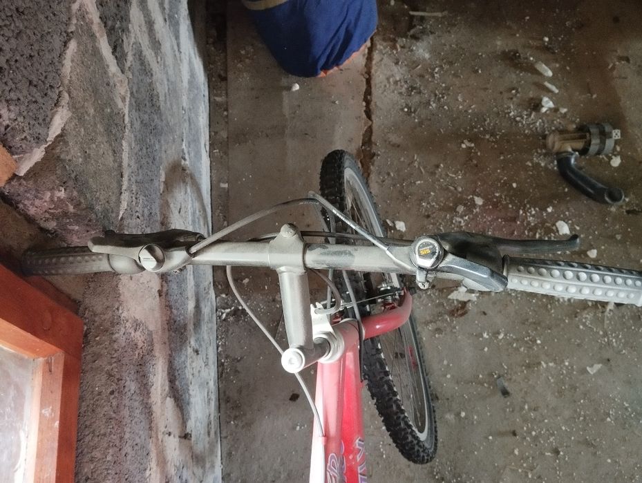 Rower męski Trapper Grizzly