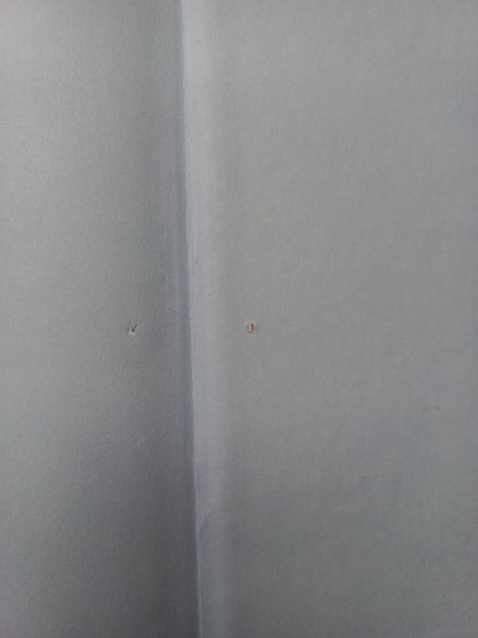 Książka Rośliny ozdobne Pelargonie na balkony i rabaty