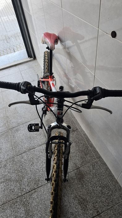 Bicicleta roda 24