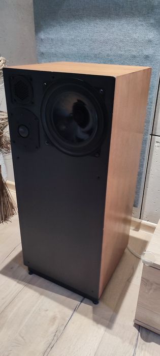 Kolumny Auditor Point Source 1 Made in France 76r (focal,audax)