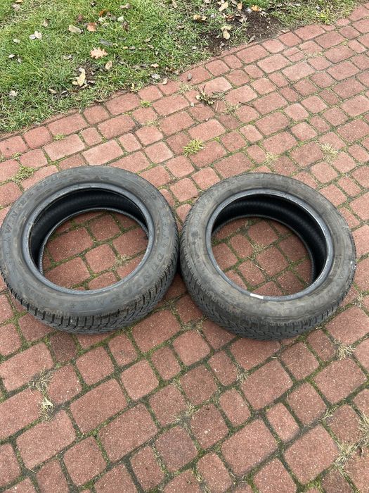 Dwie opony Dunlop 205/55/16