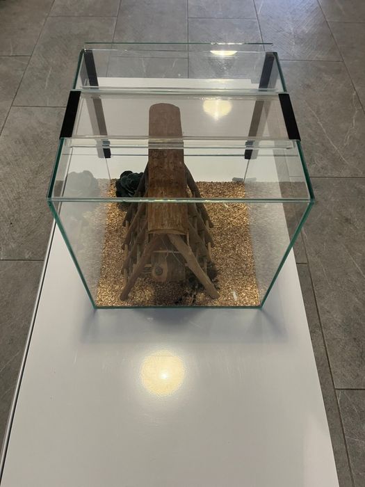 Terrário em vidro 30x30x30