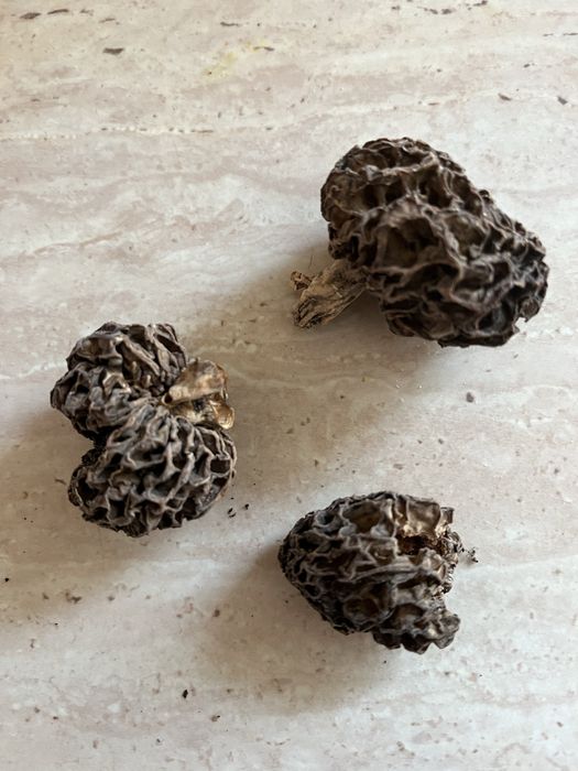 Trzy suszone smardze 15 gramów maj 2025