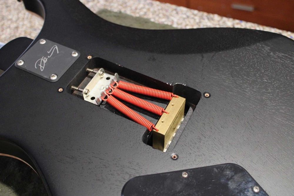 PRS CE 24 Dustie Waring Floyd WB