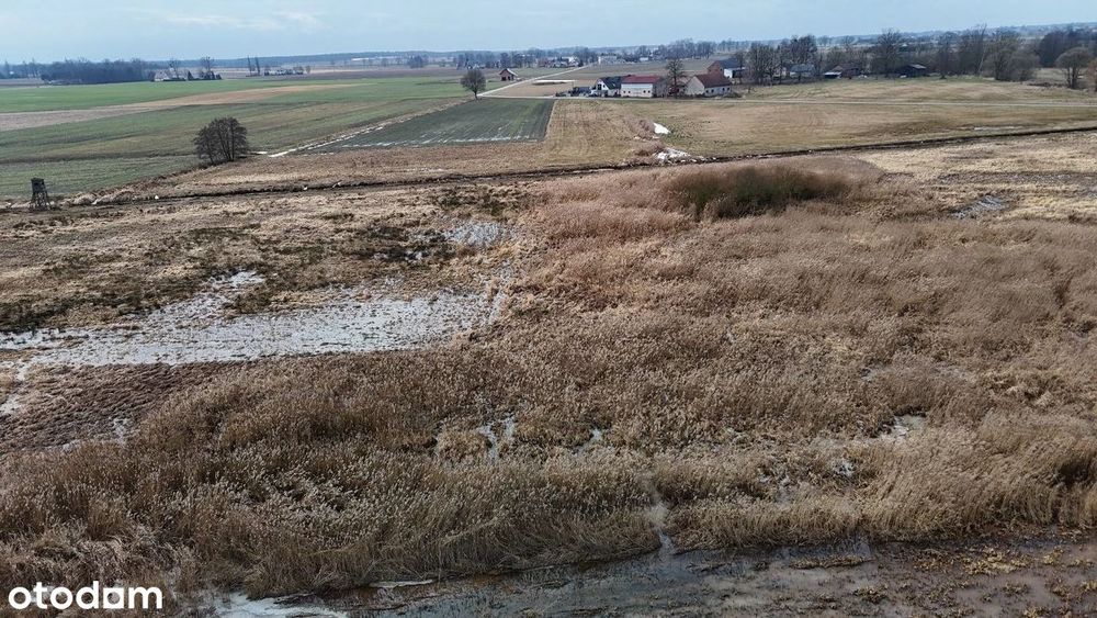 Syndyk sprzeda nieruchomość gruntową, działki ew. 50, 180/51, 182/52