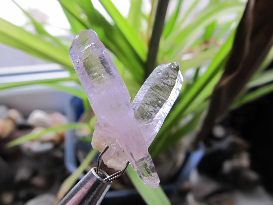 Ametyst - zrost kryształów - Veracruz #3M