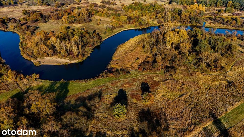 "Leśna Enklawa" nad rzeką Pilica, media, WZ, domki.