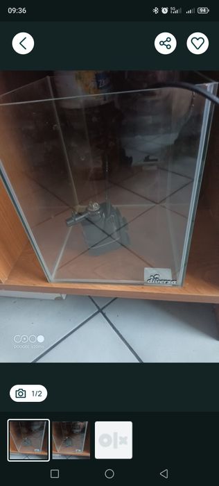 Nowe akwarium 10l