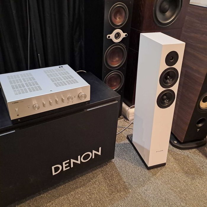 Para Dali Oberon 7 | raty 0% | sklep WROCŁAW