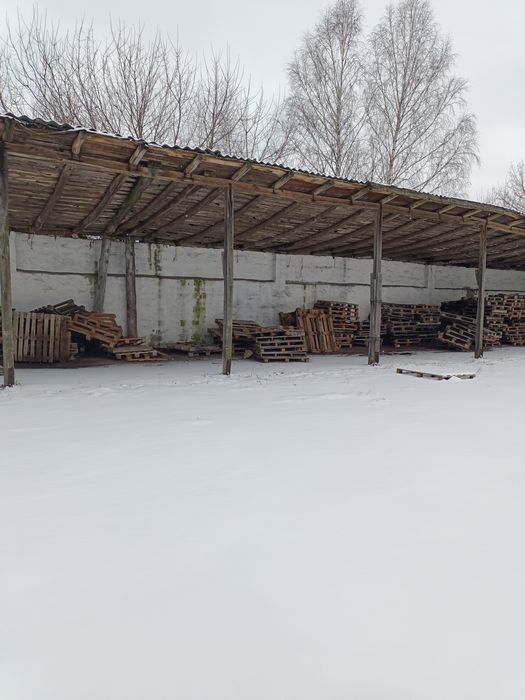 Зерносклади, комори з площадками для сушіння, с. Сушки