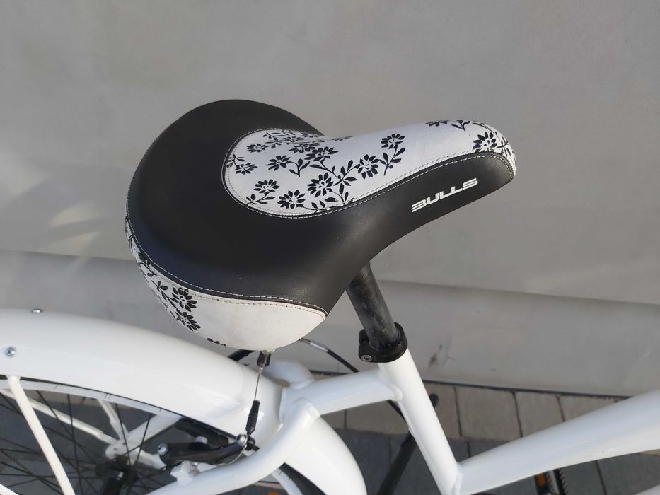 Rower  Cruiser Bulls