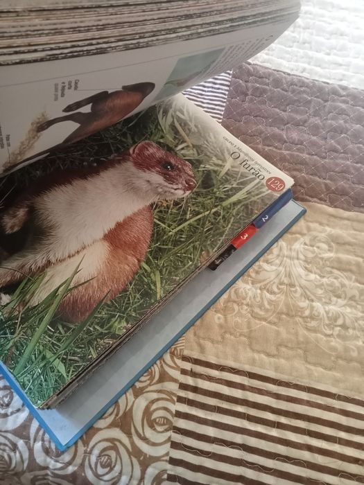 Fascinate mundo animal