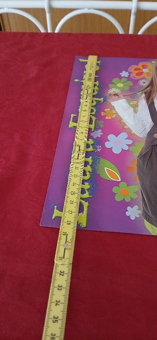 Poster Laura Esquivel, novo