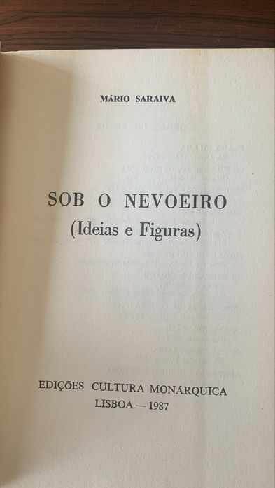 Sob o nevoeiro (ideias e figuras)
